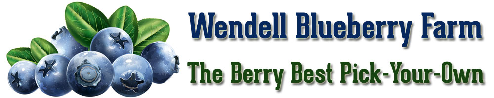 Wendell Blueberry Farm